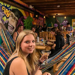 purple-monkey-hostel.colombiamedellinhotels.com/